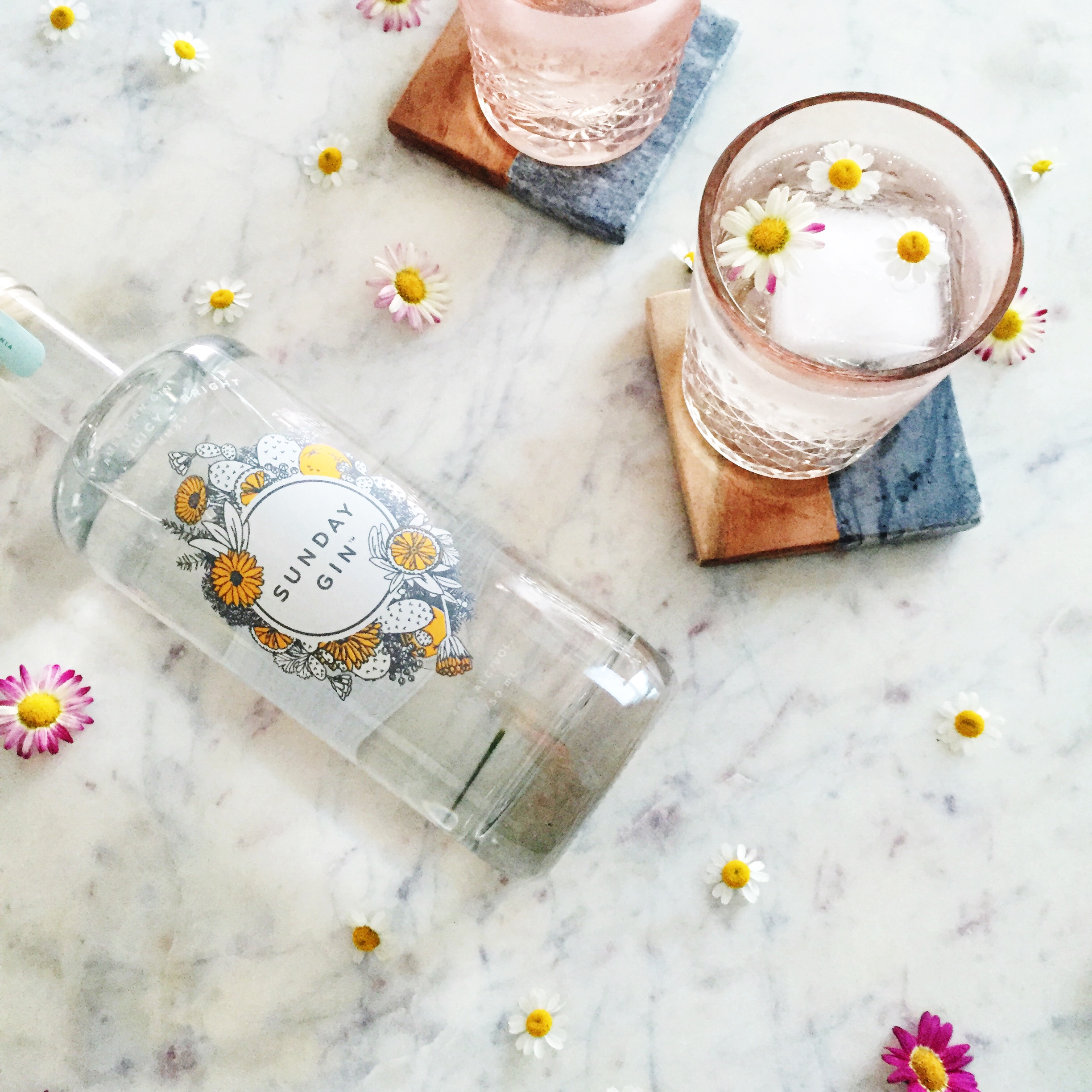 Elderflower Gin Fizz | The ELL Blog